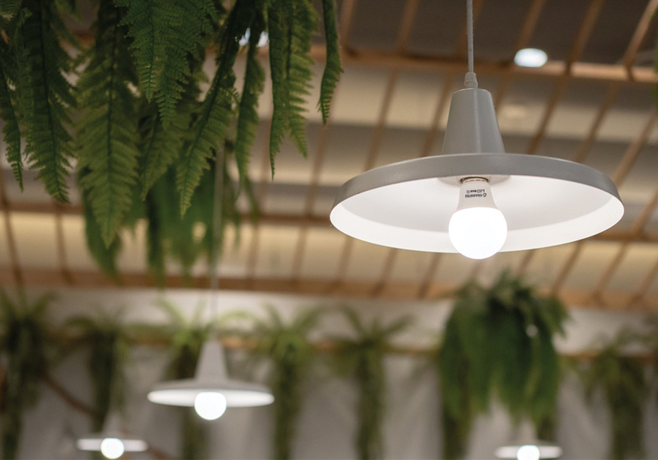 LED Bulb